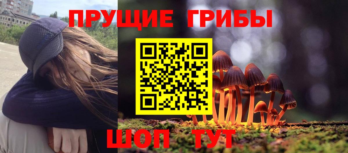 Псилоцибиновые грибы Cubensis Волгодонск